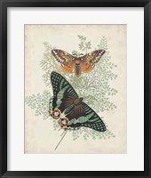 Butterflies & Ferns I Framed Print