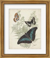 Butterflies & Ferns II Fine Art Print