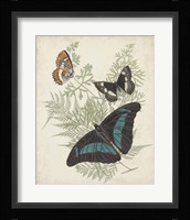 Butterflies & Ferns II Fine Art Print