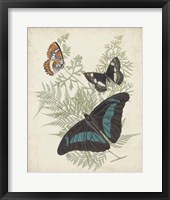Butterflies & Ferns II Fine Art Print