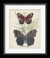 Butterflies & Ferns III Fine Art Print