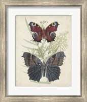 Butterflies & Ferns III Fine Art Print