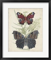 Butterflies & Ferns III Framed Print