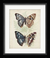 Butterflies & Ferns IV Fine Art Print