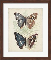 Butterflies & Ferns IV Fine Art Print