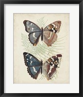 Butterflies & Ferns IV Framed Print