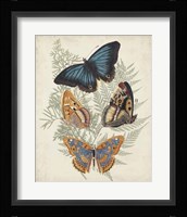 Butterflies & Ferns V Fine Art Print