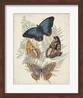 Butterflies & Ferns V Fine Art Print