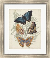Butterflies & Ferns V Fine Art Print