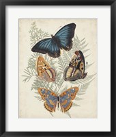 Butterflies & Ferns V Framed Print