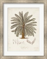 Antique Tropical Palm I Fine Art Print