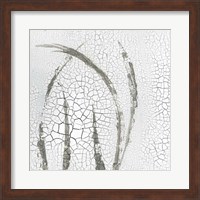 Minimalism III Fine Art Print