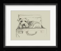 Stowaway I Framed Print
