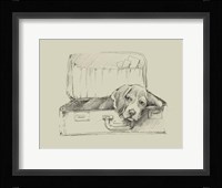 Stowaway II Framed Print