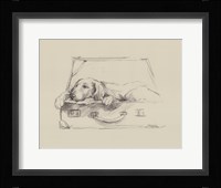Stowaway III Framed Print