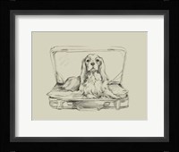 Stowaway IV Framed Print