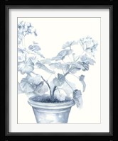 Blue Geranium I Fine Art Print