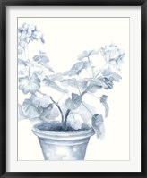 Blue Geranium I Fine Art Print