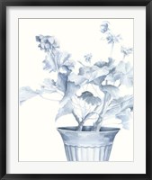 Blue Geranium II Fine Art Print