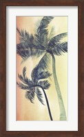Vintage Palms I Fine Art Print
