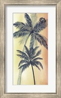 Vintage Palms II Fine Art Print