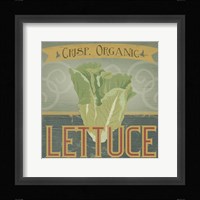 Farm Stand VI Framed Print