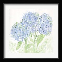 Stop and Gaze at the World's Colors Fine Art Print