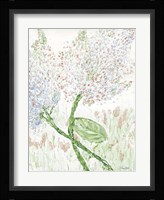 Sometimes the Quietest One can be the One Fine Art Print