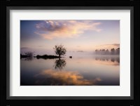 Evening Reflections Fine Art Print