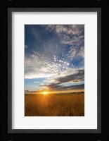 Wheat Field Sunset Fine Art Print