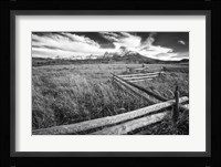 Country Fence Fine Art Print
