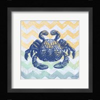 Sea Creatures - Crab Framed Print