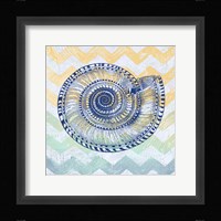 Sea Creatures - Shell I Framed Print