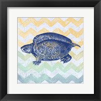 Sea Creatures - Turtle Fine Art Print