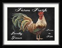 Farm Fresh Fine Art Print