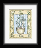 Rosemary Framed Print