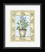 Borage Fine Art Print