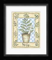 Sage Framed Print