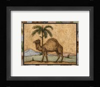 Camel Fine Art Print