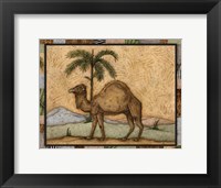 Camel Framed Print