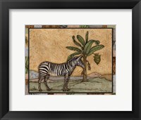 Zebra Framed Print