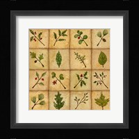 Twigs Fine Art Print