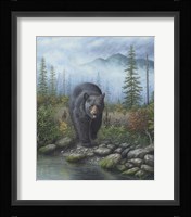 Smoky Mountain Black Bear Fine Art Print