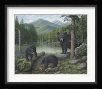 Watching The Cubs Play Fine Art Print