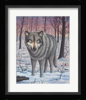 Lone Wolf Fine Art Print