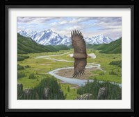 Soaring Above Fine Art Print