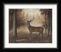 Autumn Buck Fine Art Print