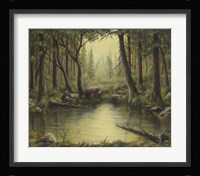 Evening at the Creek Fine Art Print