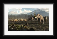 Columbian Mammoths And Bison Roam The Ancient Plains Of North America Framed Print