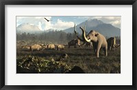 Columbian Mammoths And Bison Roam The Ancient Plains Of North America Framed Print